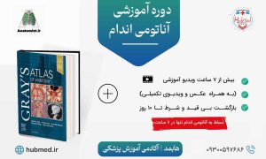 دوره آناتومی اندام